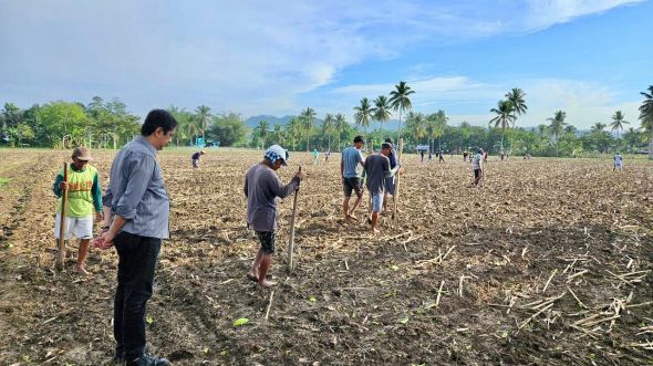 Kementerian Pertanian memperkuat peran Gorontal sebagai sentra jagung