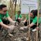 SPIL Dukung Pelestarian Lingkungan dengan Tanam 1.000 Pohon Mangrove