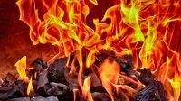 Shiba Inu Inferno: 8,6 miliar poin SHIB hilang, tingkat pembakaran